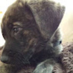 Meet your Posher, Kristen